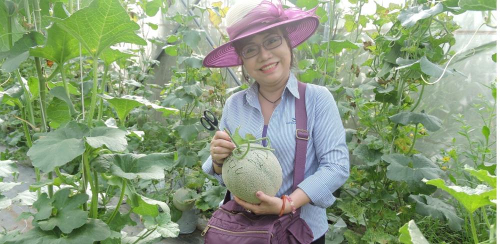 Tham quan học tập mô hình khu nông nghiệp công nghệ cao tại TP.HCM ( 10/04/2011 )