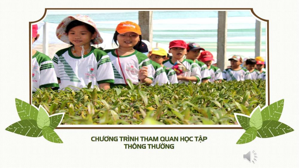 Hình ảnh các đoàn tham quan