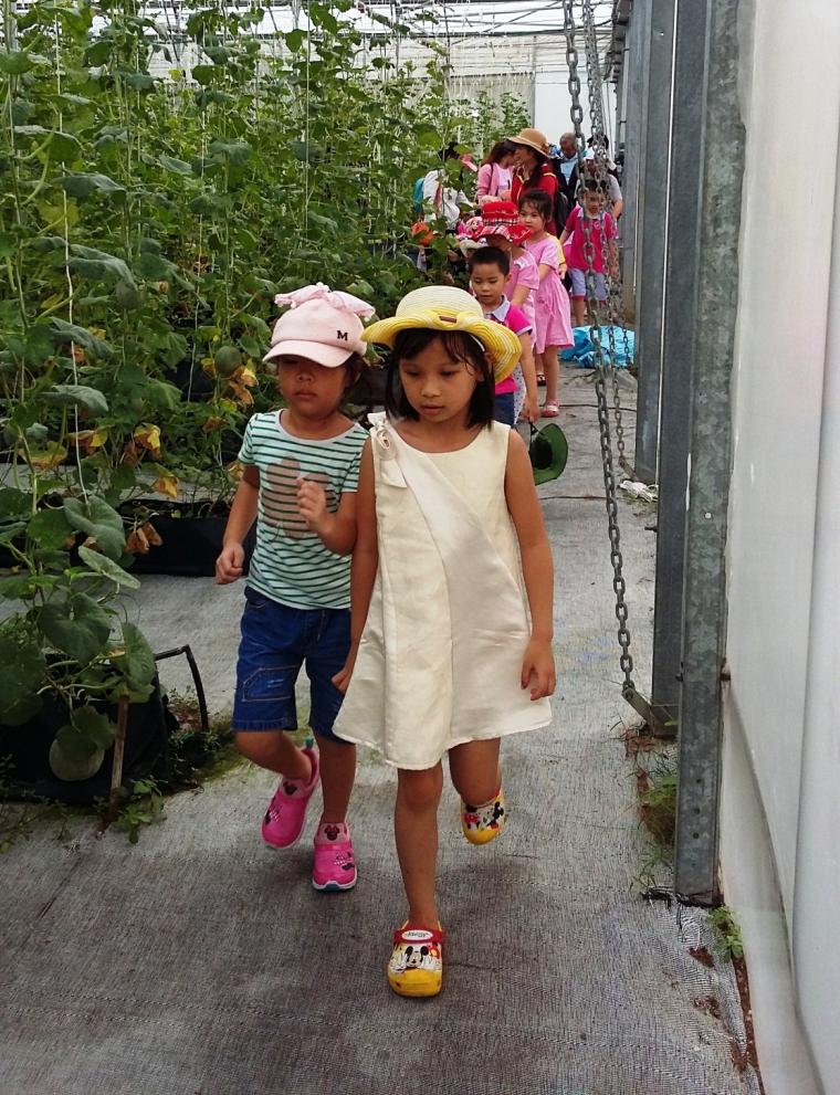 Hình ảnh các đoàn đến tham quan năm 2017