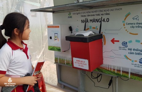 Chương trình Học tập - trải nghiệm cho học sinh Tiểu học