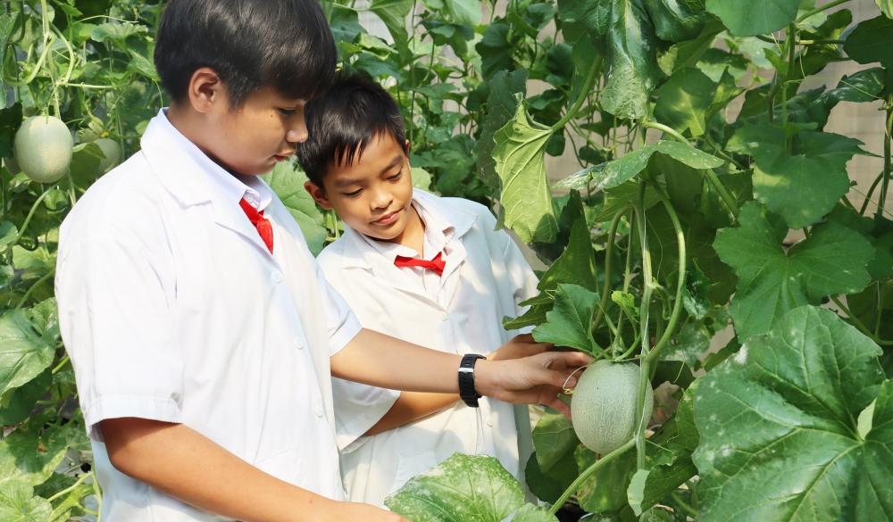 Chương trình Học tập - trải nghiệm cho học sinh THCS-THPT