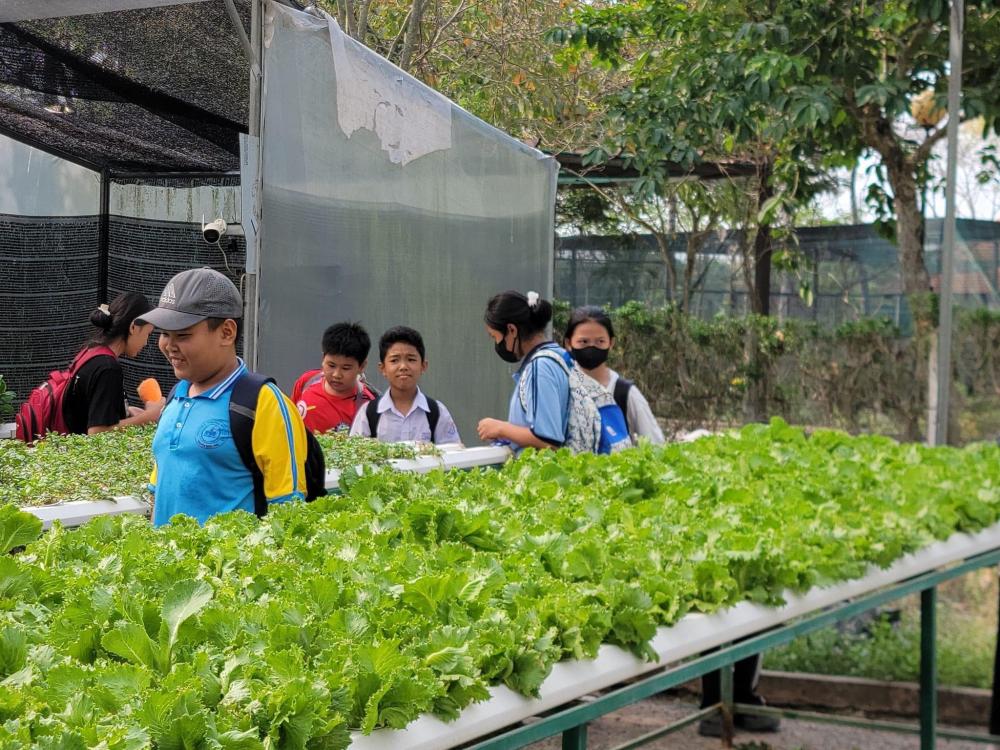 SÔI NỔI ĐÓN ĐOÀN THAM QUAN, HỌC TẬP, TRẢI NGHIỆM NÔNG NGHIỆP CÔNG NGHỆ CAO SÔI NỔI ĐÓN ĐOÀN THAM QUAN, HỌC TẬP, TRẢI NGHIỆM NÔNG NGHIỆP CÔNG NGHỆ CAO