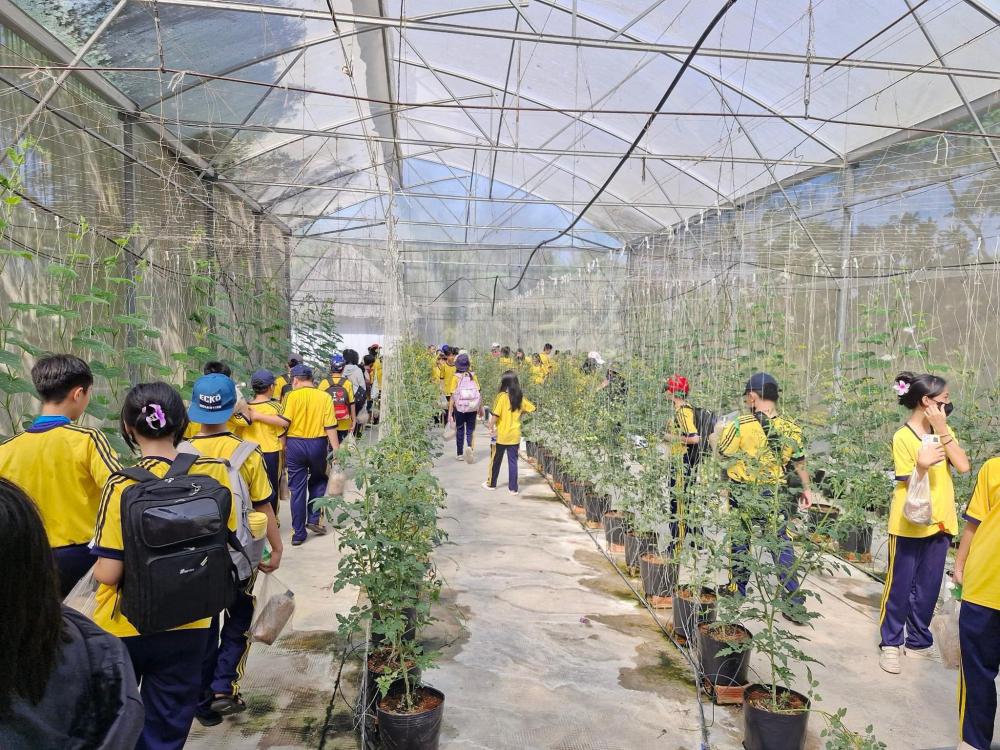 SÔI NỔI ĐÓN ĐOÀN THAM QUAN, HỌC TẬP, TRẢI NGHIỆM NÔNG NGHIỆP CÔNG NGHỆ CAO SÔI NỔI ĐÓN ĐOÀN THAM QUAN, HỌC TẬP, TRẢI NGHIỆM NÔNG NGHIỆP CÔNG NGHỆ CAO