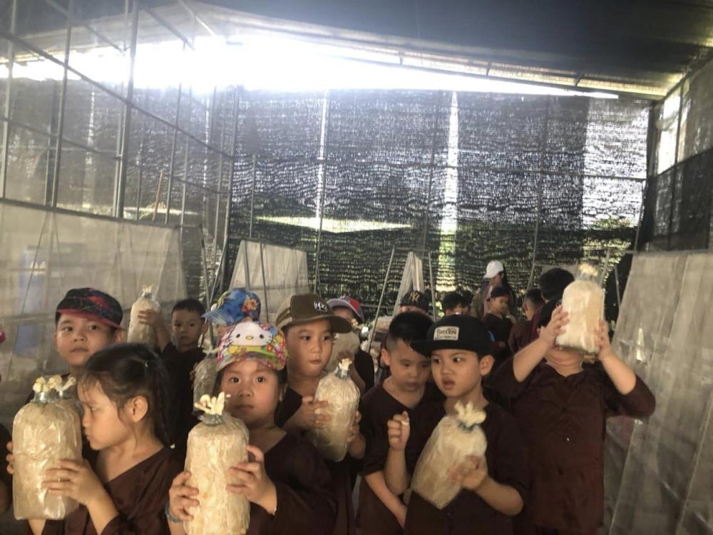 TRƯỜNG MẦM NON SONG MAI THAM QUAN, HỌC TẬP, TRẢI NGHIỆM TẠI KHU NÔNG NGHIỆP CÔNG NGHỆ CAO TRƯỜNG MẦM NON SONG MAI THAM QUAN, HỌC TẬP, TRẢI NGHIỆM TẠI KHU NÔNG NGHIỆP CÔNG NGHỆ CAO