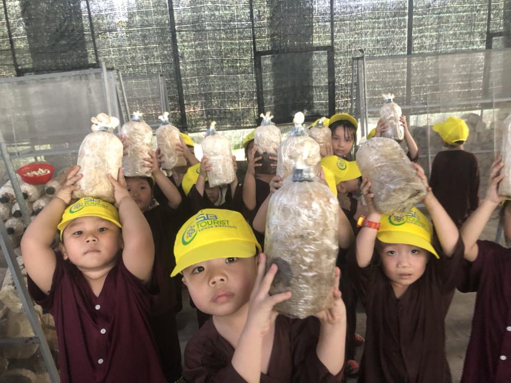Trường Mầm non Hoa Nguyệt Quế Tham quan, Học tập, Trải nghiệm tại Khu Nông nghiệp Công nghệ cao Trường Mầm non Hoa Nguyệt Quế Tham quan, Học tập, Trải nghiệm tại Khu Nông nghiệp Công nghệ cao