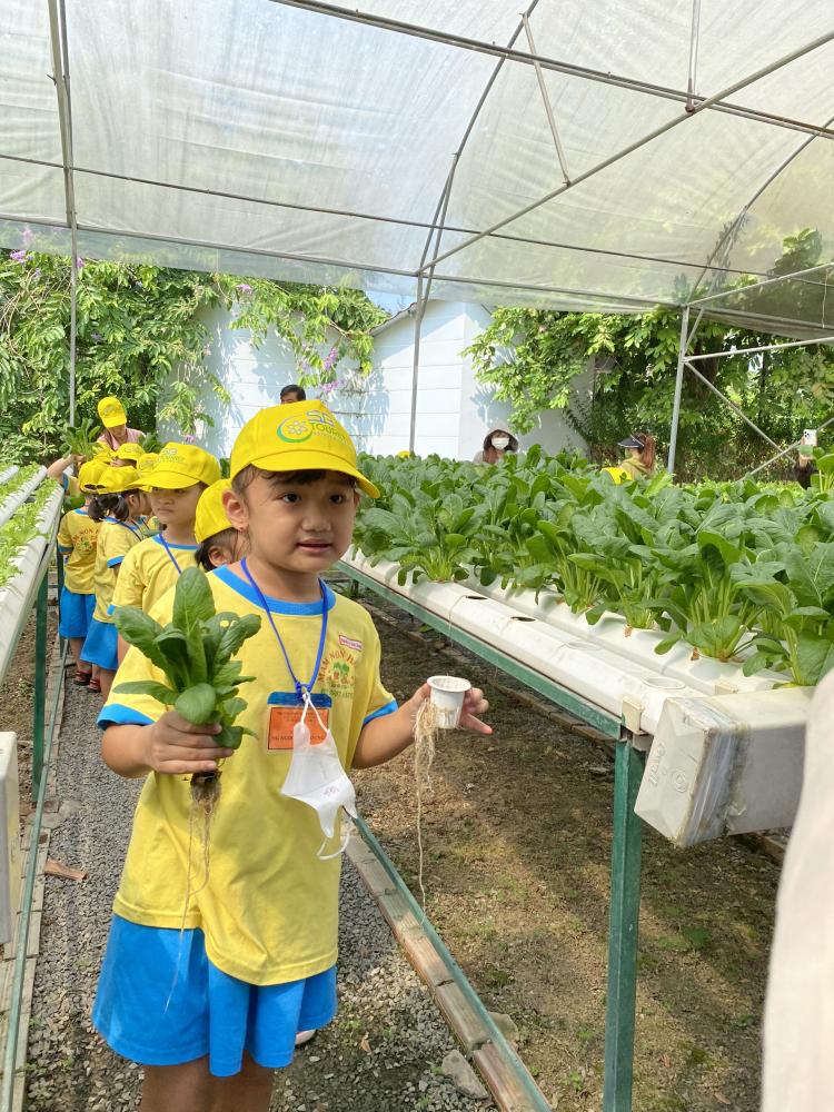 Trường Mầm non Hải Hà Tham quan, Học tập, Trải nghiệm tại Khu Nông nghiệp Công nghệ cao Trường Mầm non Hải Hà Tham quan, Học tập, Trải nghiệm tại Khu Nông nghiệp Công nghệ cao