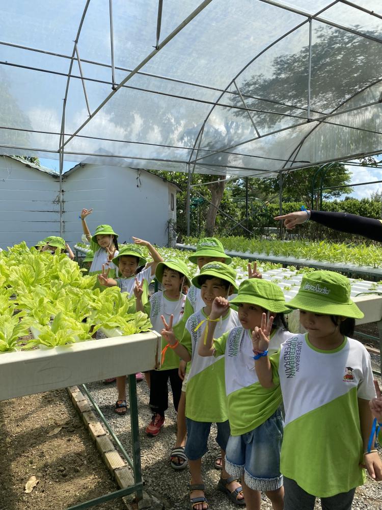 Hệ thống đào tạo Toán trí tuệ Superbrain Tham quan, Học tập, Trải nghiệm tại Khu Nông nghiệp Công nghệ cao Hệ thống đào tạo Toán trí tuệ Superbrain Tham quan, Học tập, Trải nghiệm tại Khu Nông nghiệp Công nghệ cao