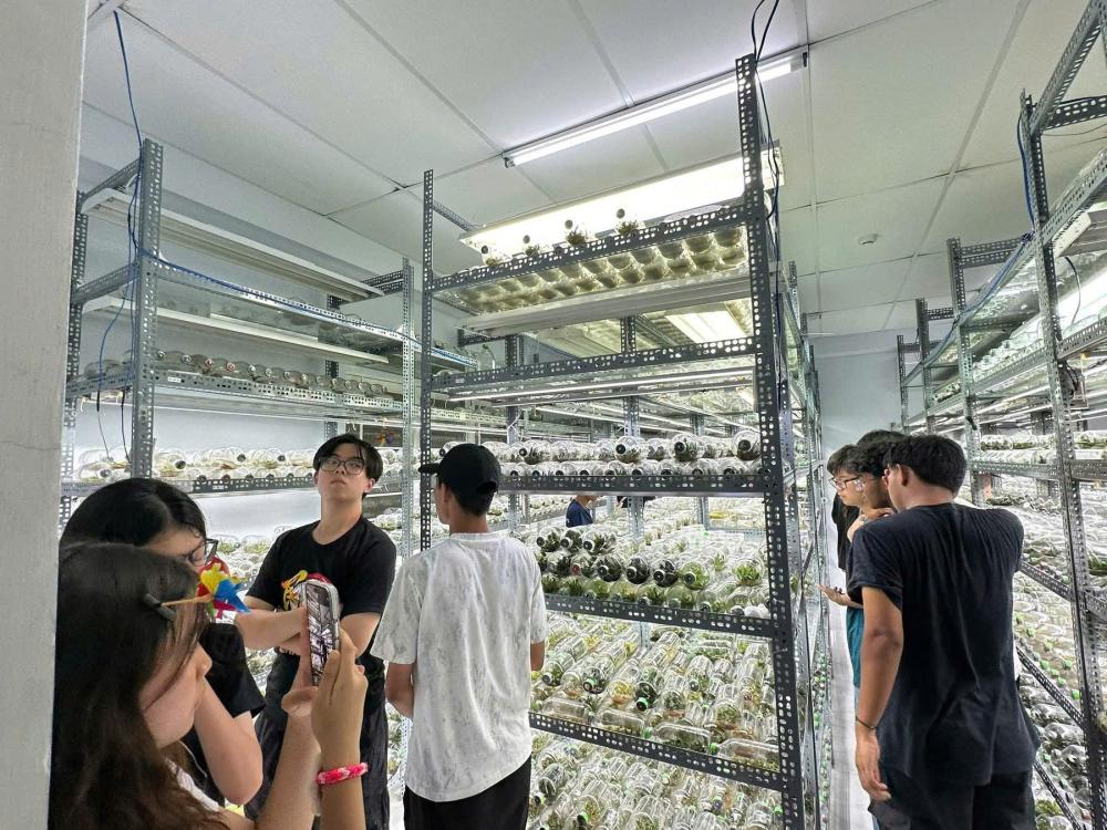 Trường The Institute of Technical Education (ITE) Tham quan, Học tập, Trải nghiệm tại Khu Nông nghiệp Công nghệ cao