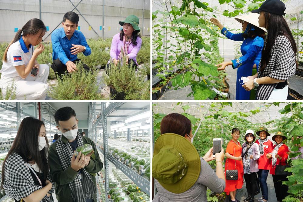 Thành phố Hồ Chí Minh kiến tạo hệ sinh thái đổi mới nông nghiệp