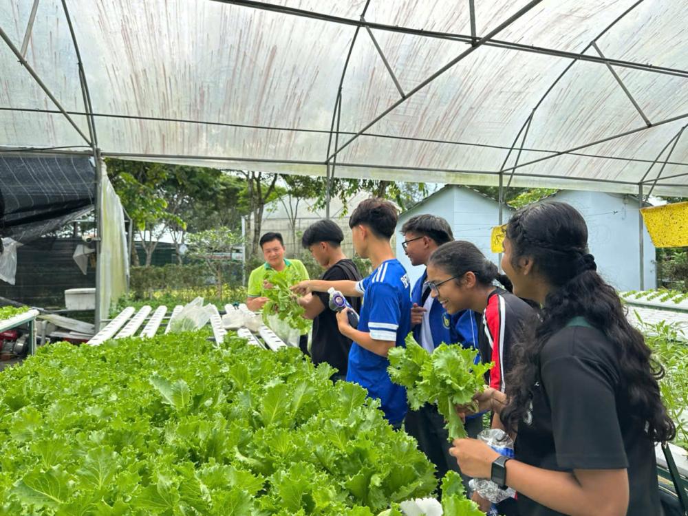 Học sinh Trường Trung học Bendemeer (Singapore) tham quan, học tập trải nghiệm tại Khu Nông nghiệp Công nghệ cao TP. Hồ Chí Minh